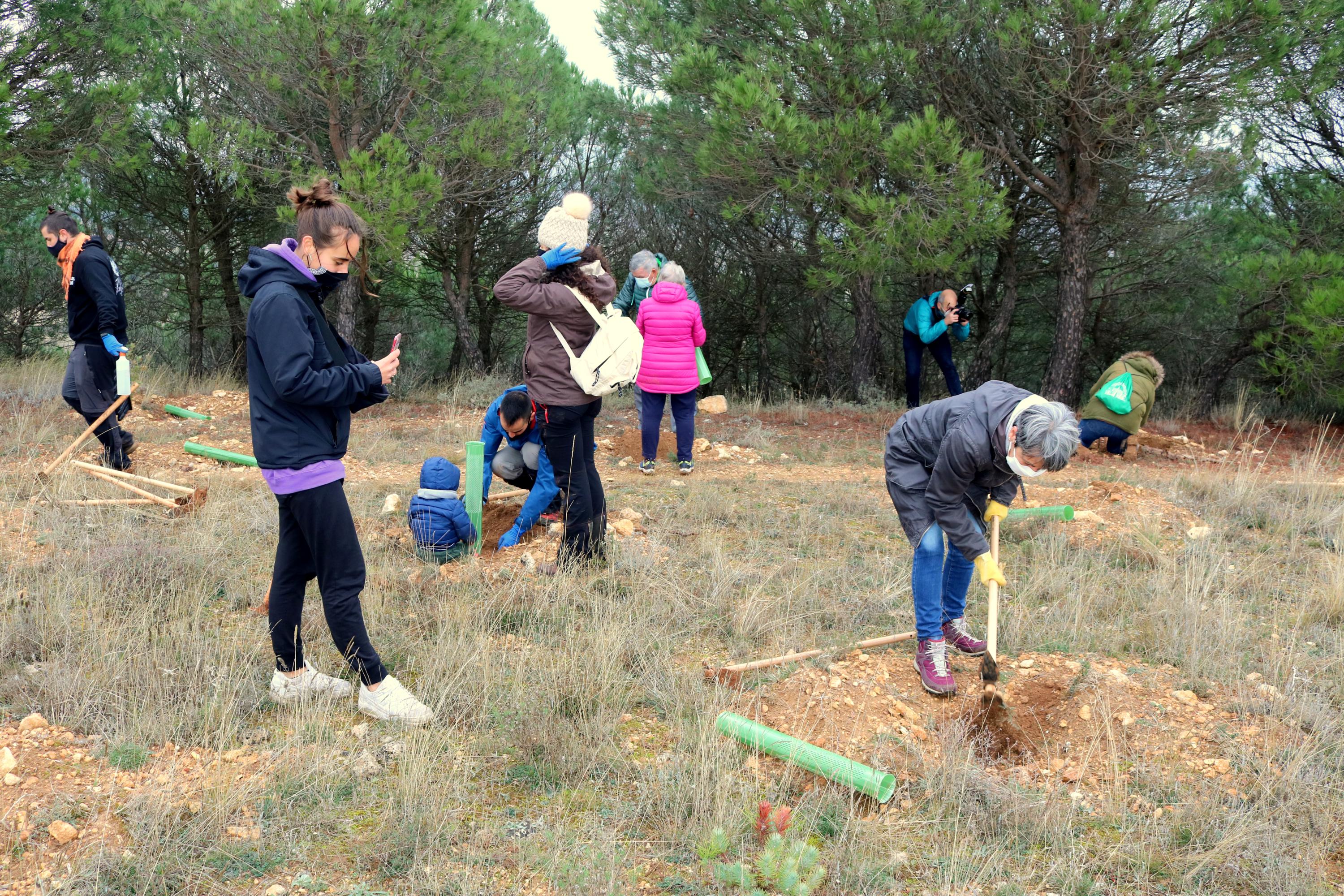 Más de 150 vecinos participaron en la plantación llevada a cabo en Villamuriel de Cerrato