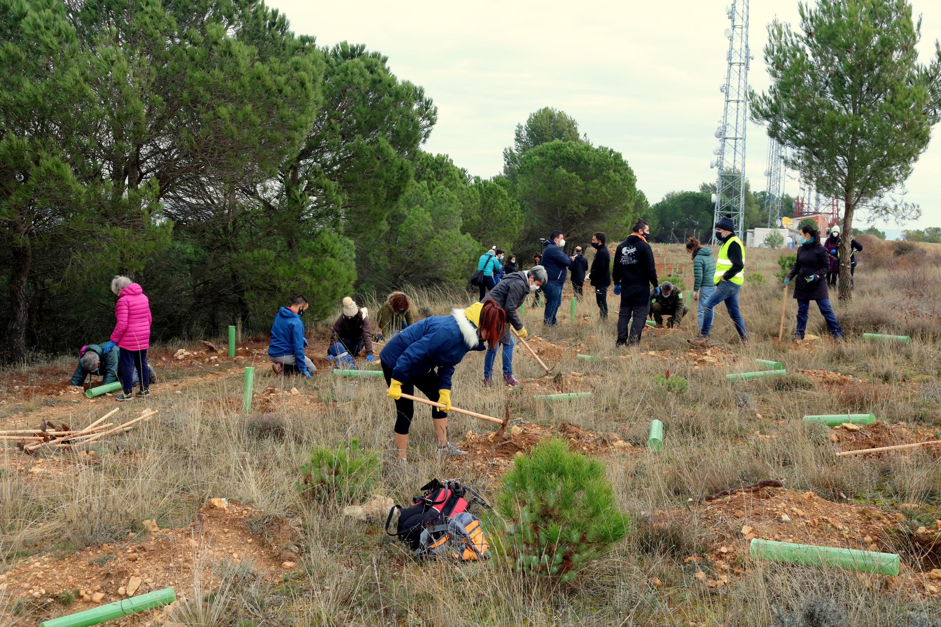 Más de 150 vecinos participaron en la plantación llevada a cabo en Villamuriel de Cerrato