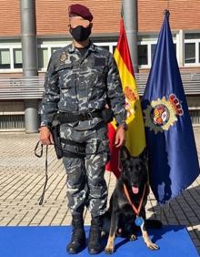 Imagen secundaria 2 - El ministro del Interio, Fernando Grande-Marlaska, condecora a Elko y otros cinco canes. En las otras dos fotos, Elko, durante un entrenamiento y tras ser homenajeado con su instructor. 