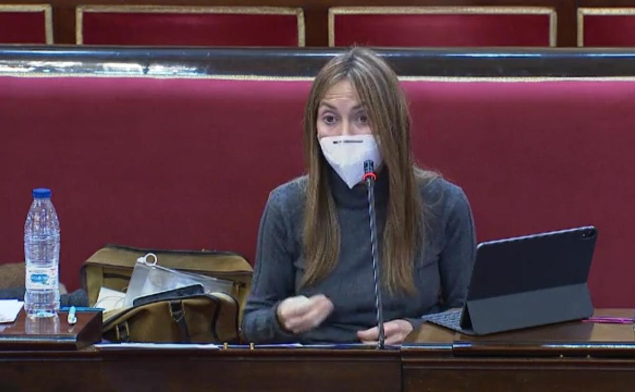 La senadora por Palencia Carmen Fernández, del PP, ayer en la Comisión de Industria.