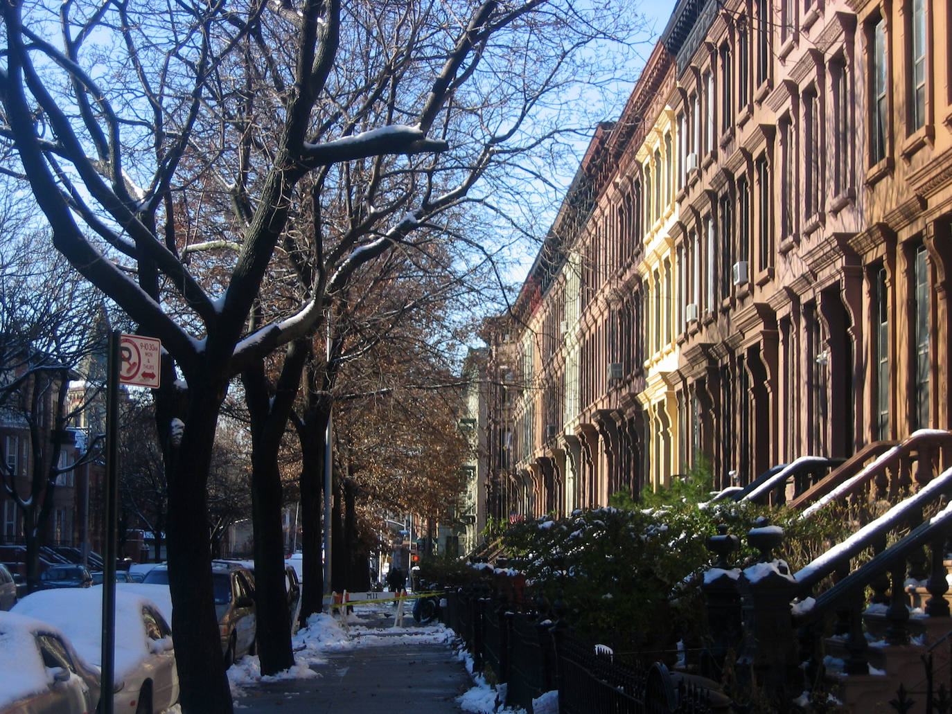 Bedford-Stuyvesant (Nueva York) 