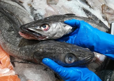 Imagen secundaria 1 - Recetario Degusta: ¿Qué pescado cocino en Navidad?