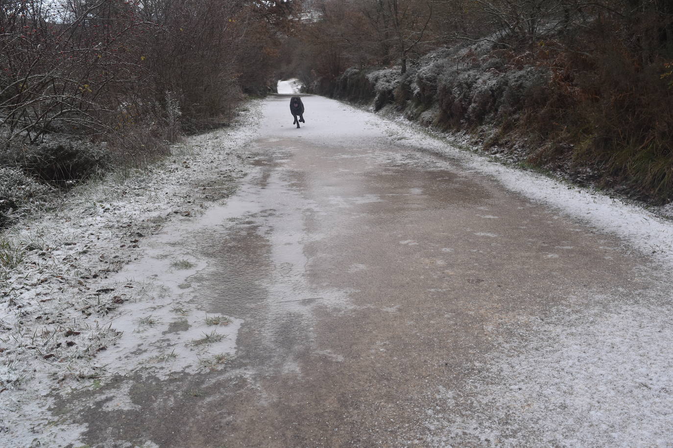 La borrasca Dora provoca las primeras nevadas en la zona norte de Palencia.