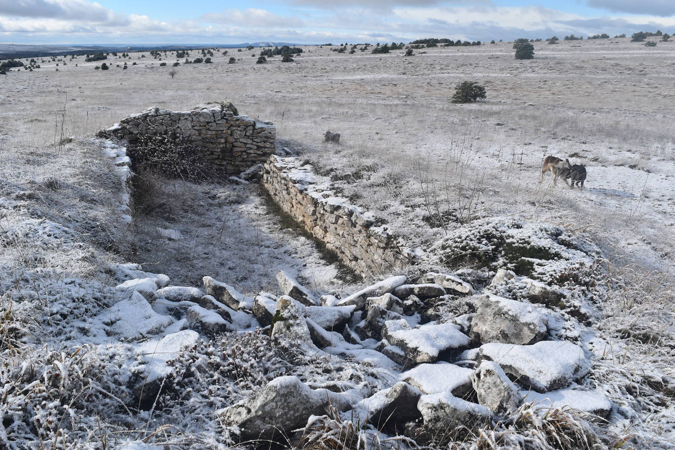 La borrasca Dora provoca las primeras nevadas en la zona norte de Palencia.