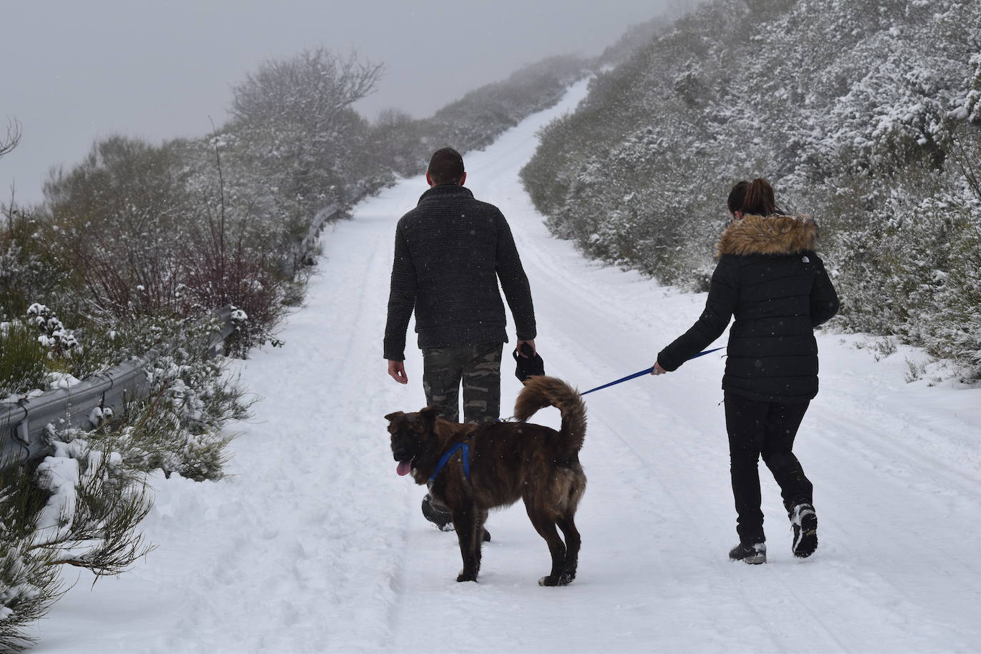 La nieve convierte Brañosera en zona de juegos en familia