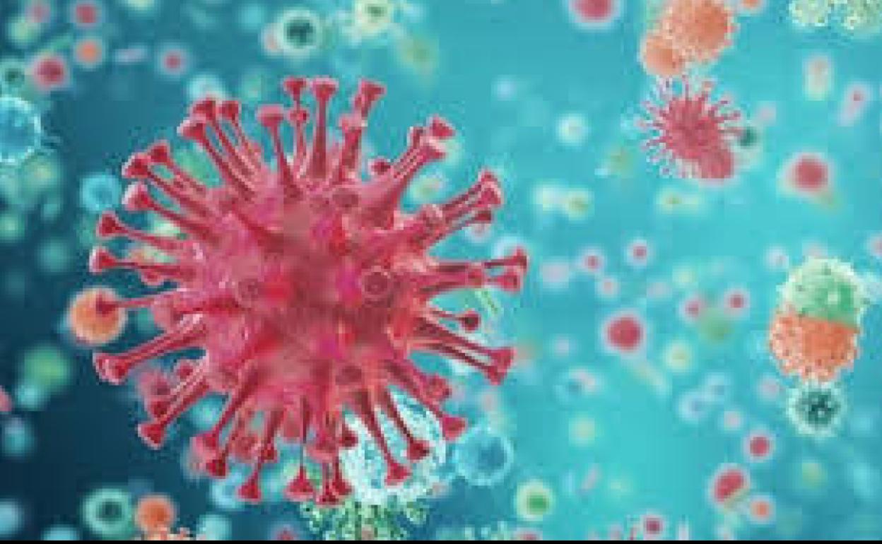 Representación gráfica del coronavirus.