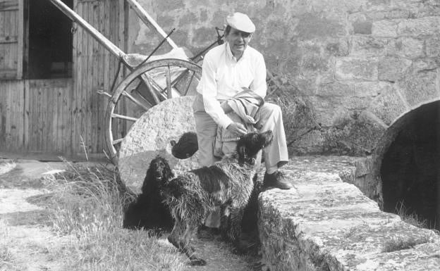 Miguel Delibes, con sus perros, en uno de esos días de campo que tanto disfrutaba. 