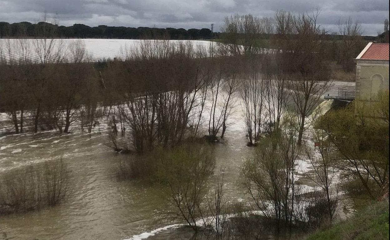 Caudal del rio Adaja a su paso por Valdestillas, en 2018.