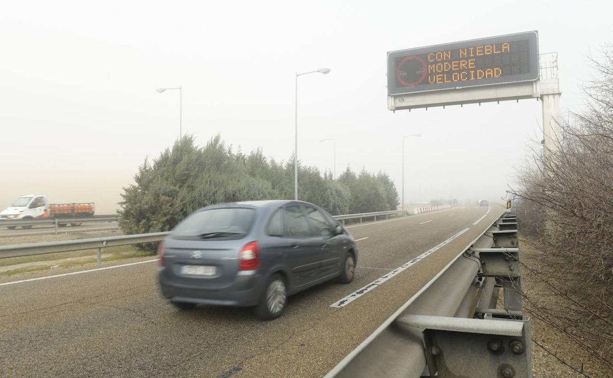 Niebla en la carretera.