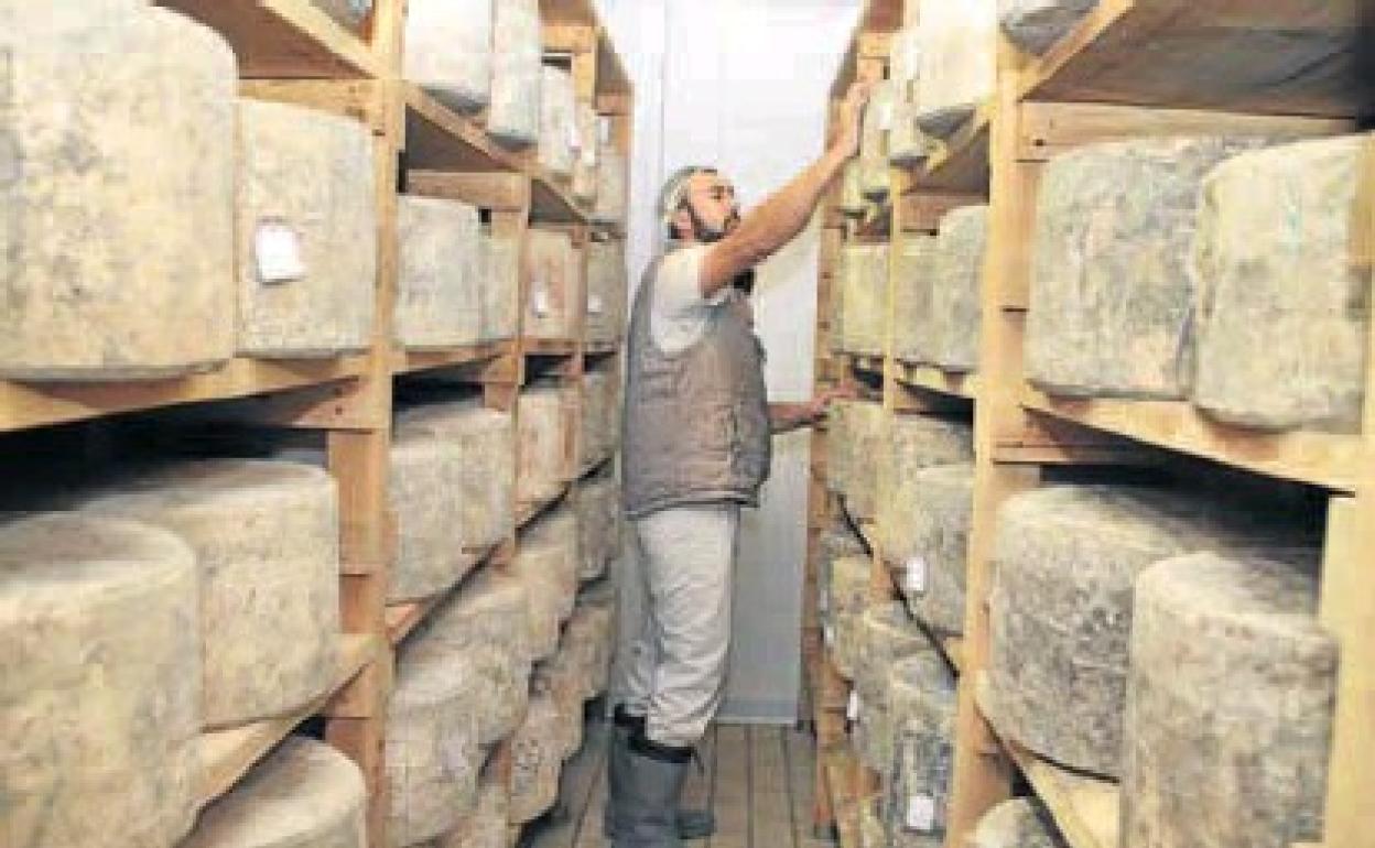 Quesería artesanal en la localidad vallisoletana de Ramiro. 