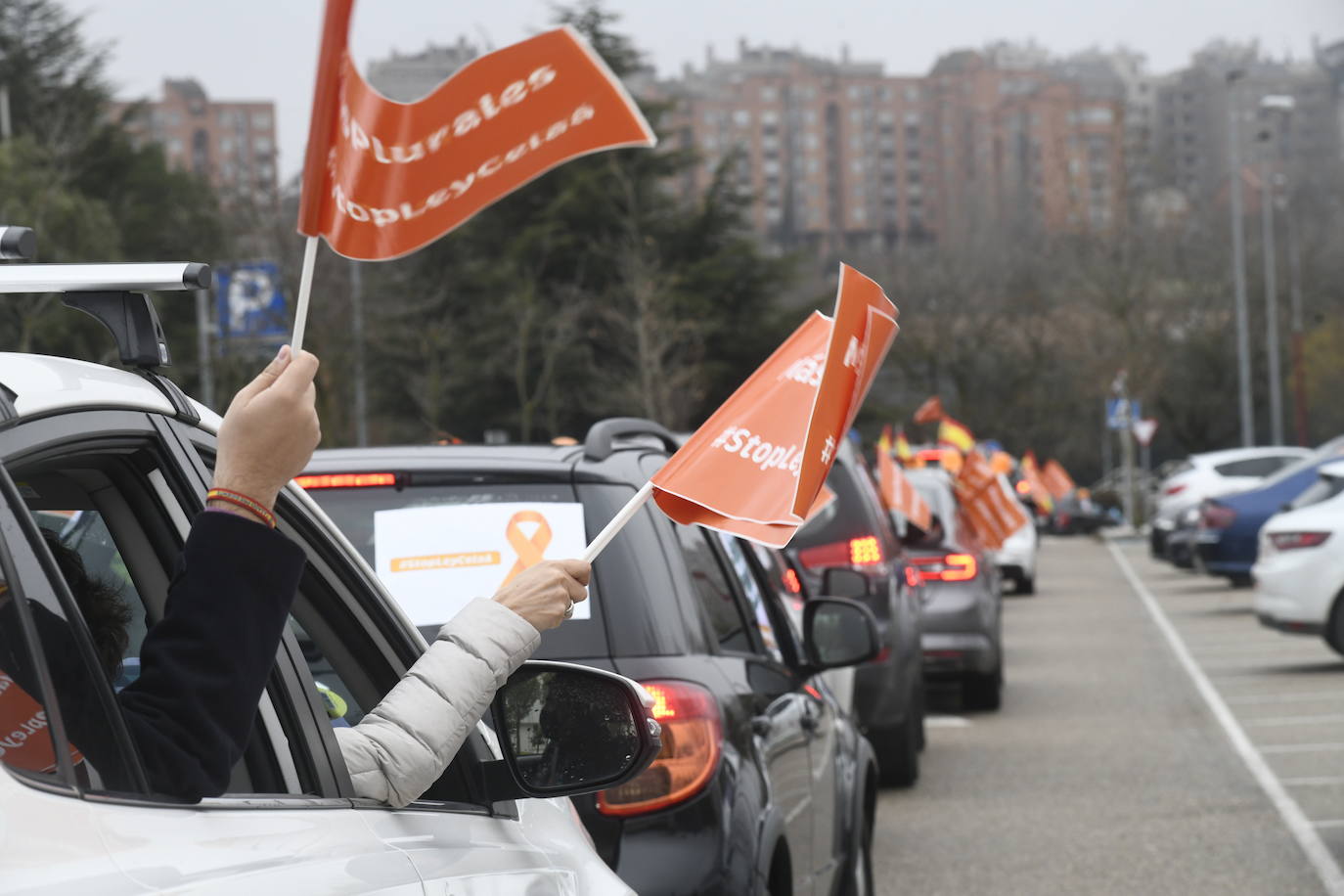 Fotos: Protestas contra la Ley Celaá