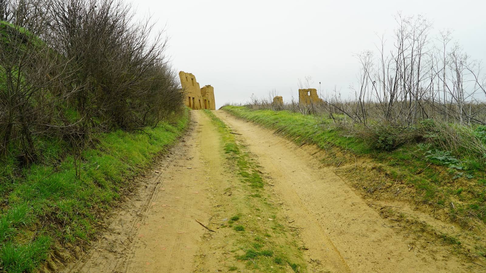 Fotos: Villacreces, un pueblo abandonado en Tierra de Campos