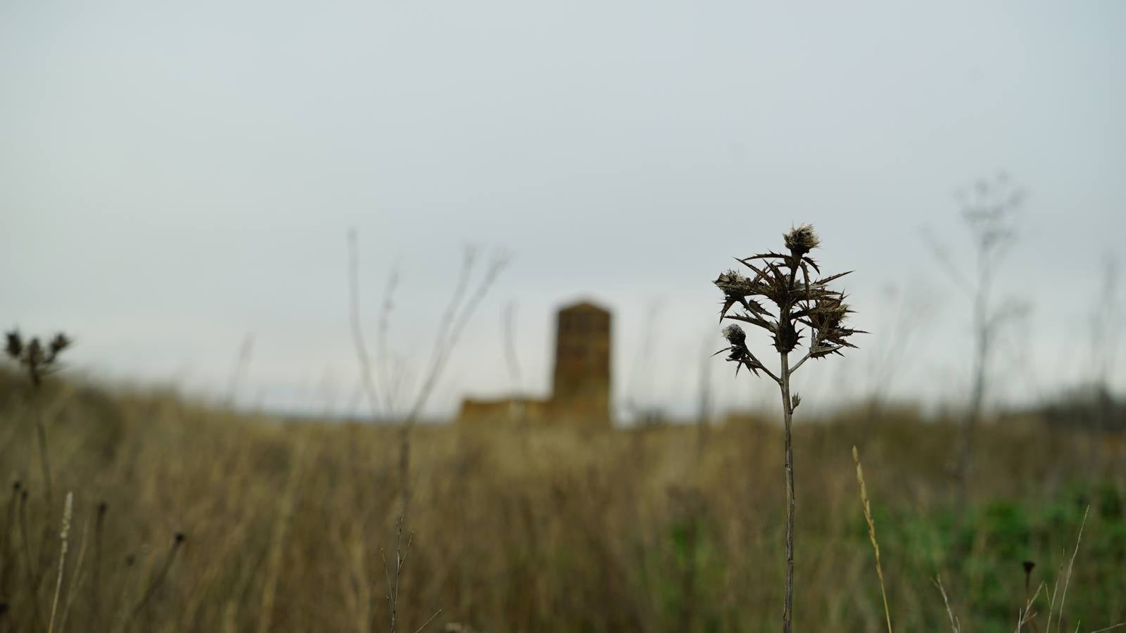 Fotos: Villacreces, un pueblo abandonado en Tierra de Campos