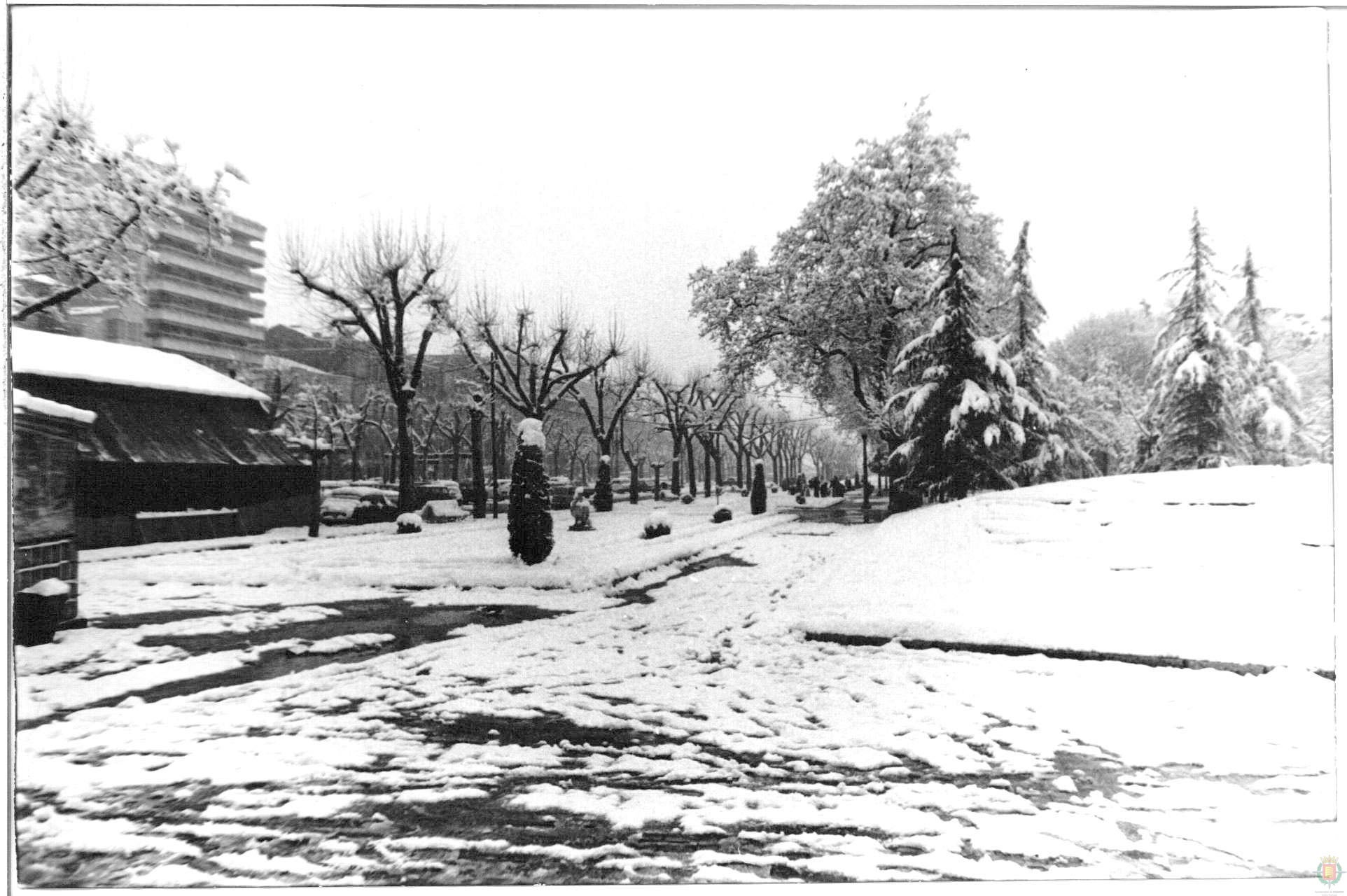 Fotos: Estampas del Valladolid antiguo (LXI): inviernos de nieve