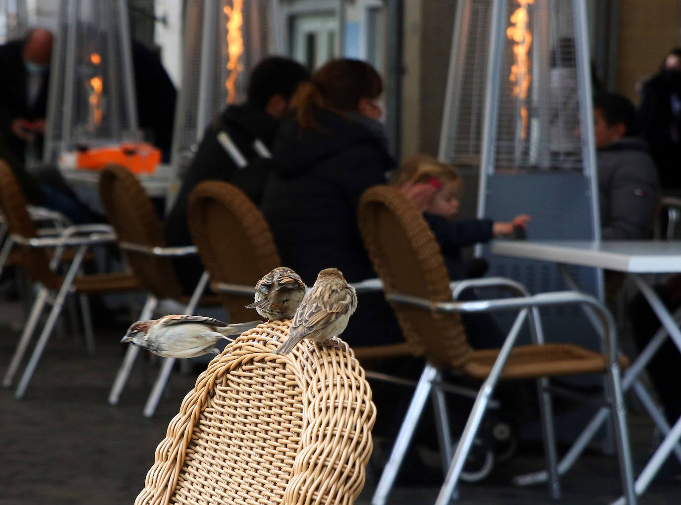 Día de Navidad en la Plaza Mayor de Segovia 