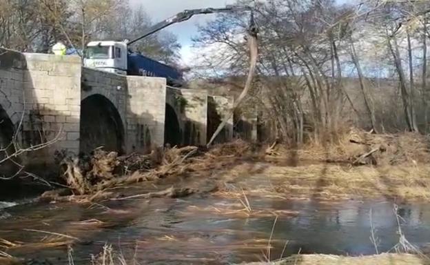 Una grúa retira un enorme tronco del puente de Quintana del Puente.