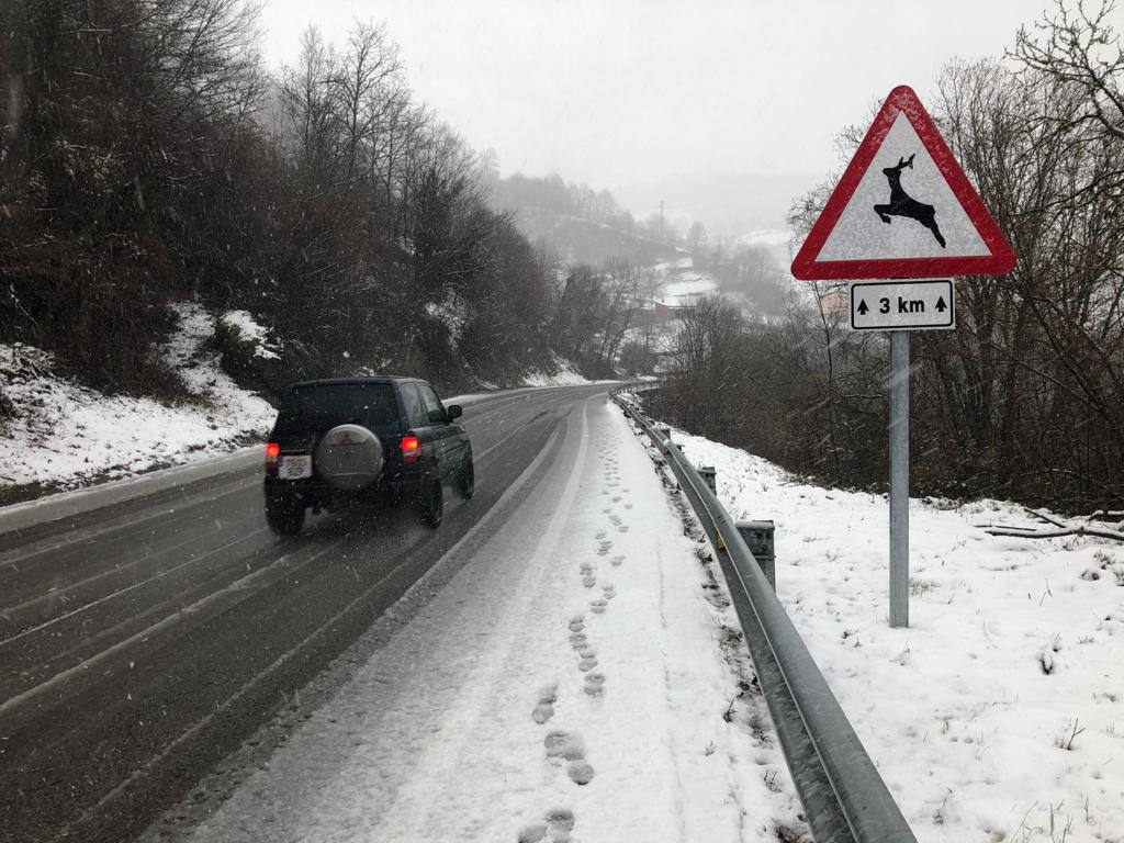 Fotos: Temporal de nieve en Asturias y León