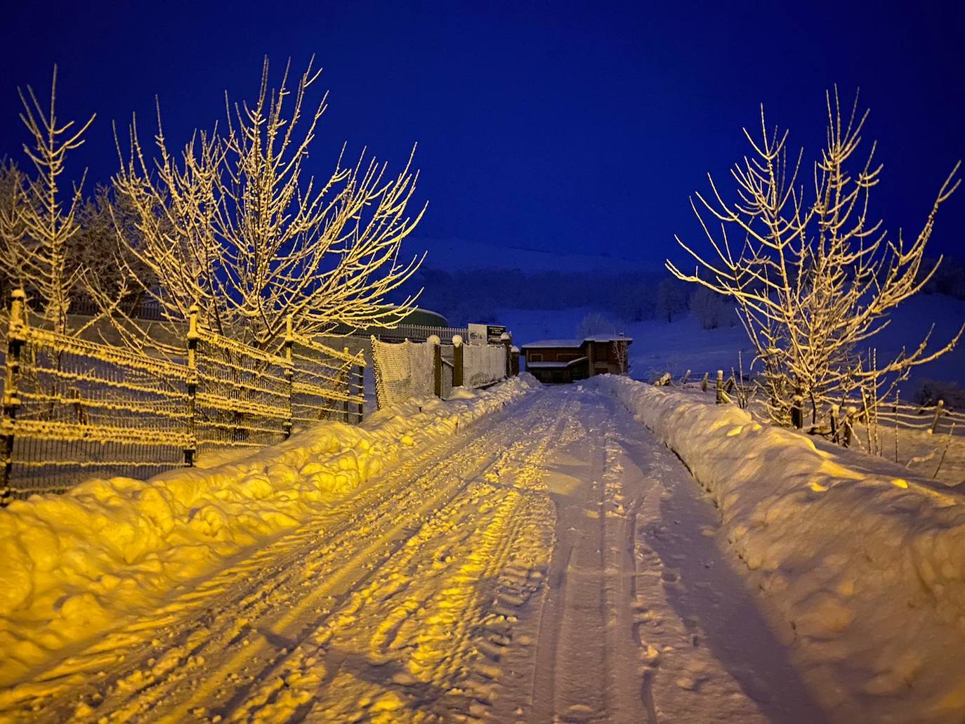 Fotos: Temporal de nieve en Asturias y León