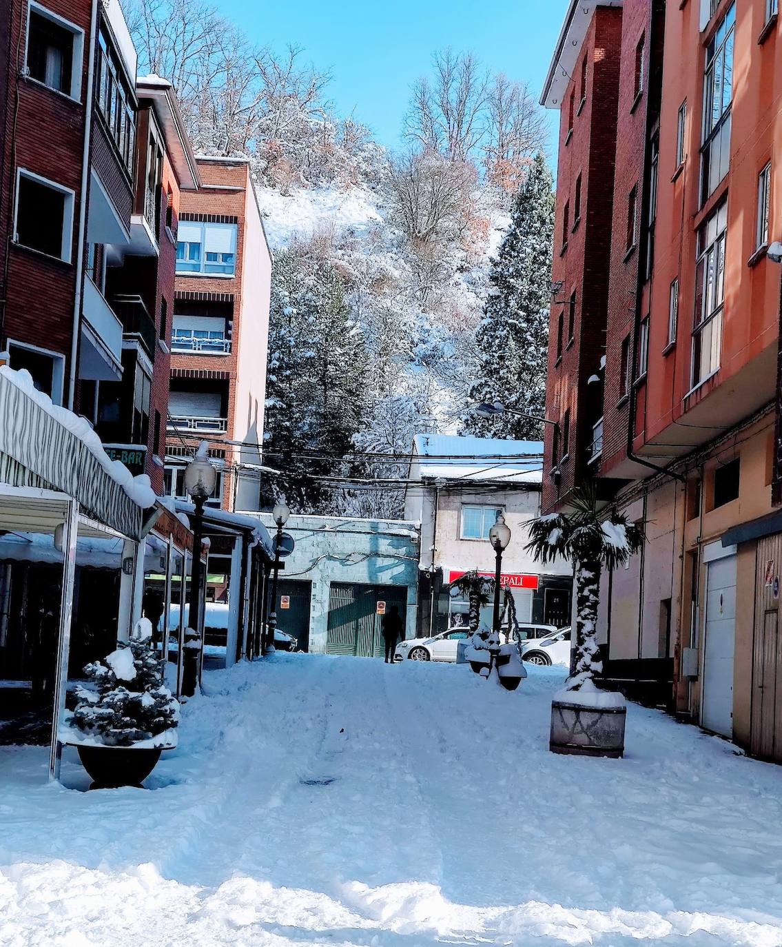 Las intensas nevadas dañan dos carpas del muincipio guardense.