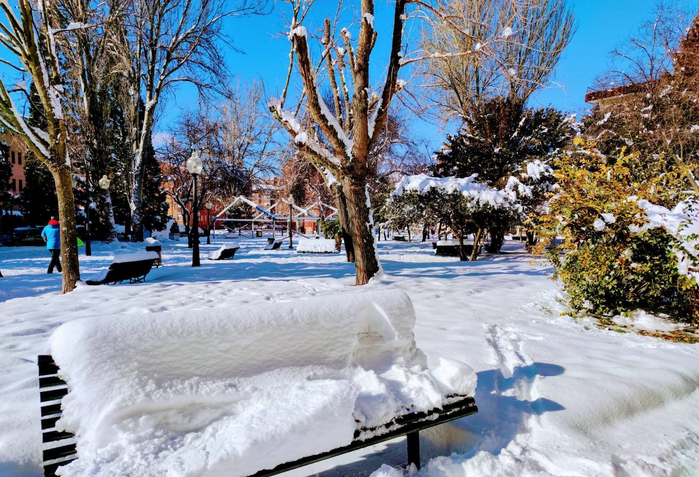 Las intensas nevadas dañan dos carpas del muincipio guardense.