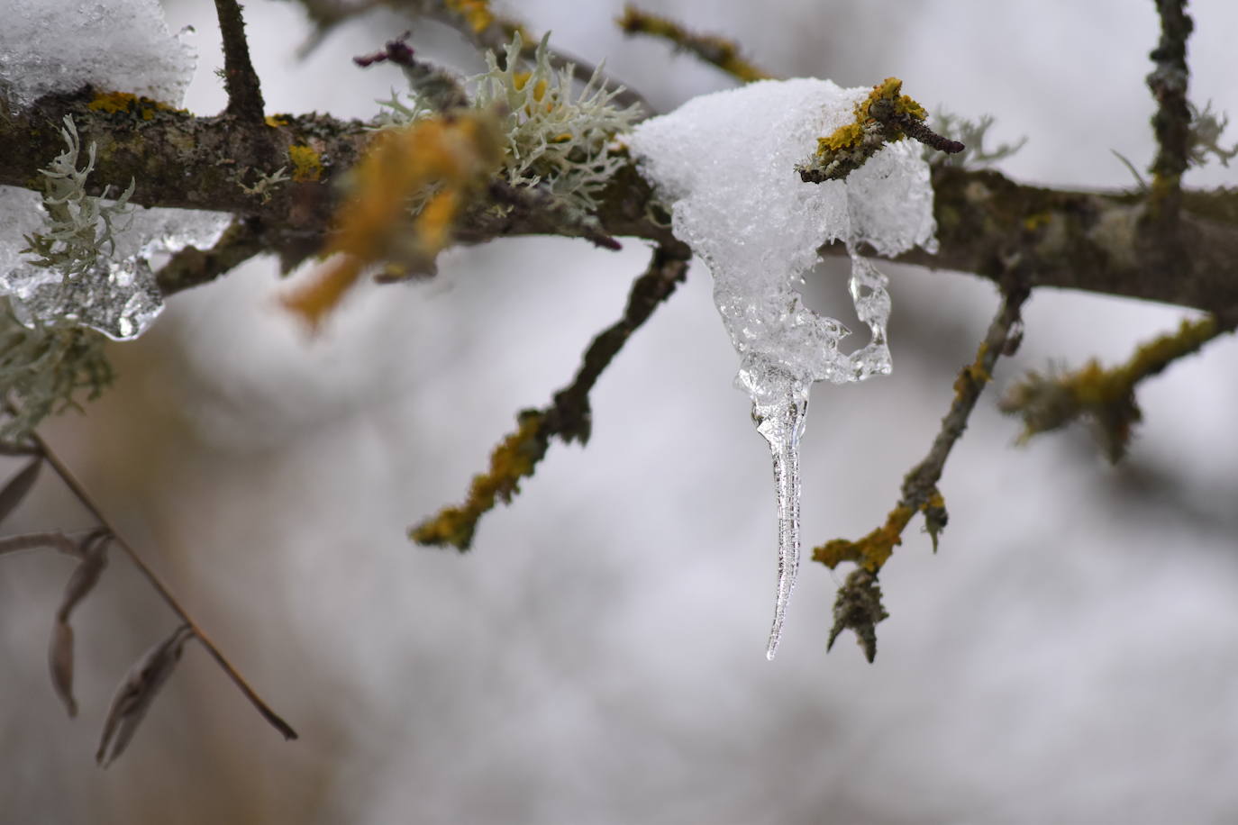 Fotos: El hielo invade Aguilar de Campoo