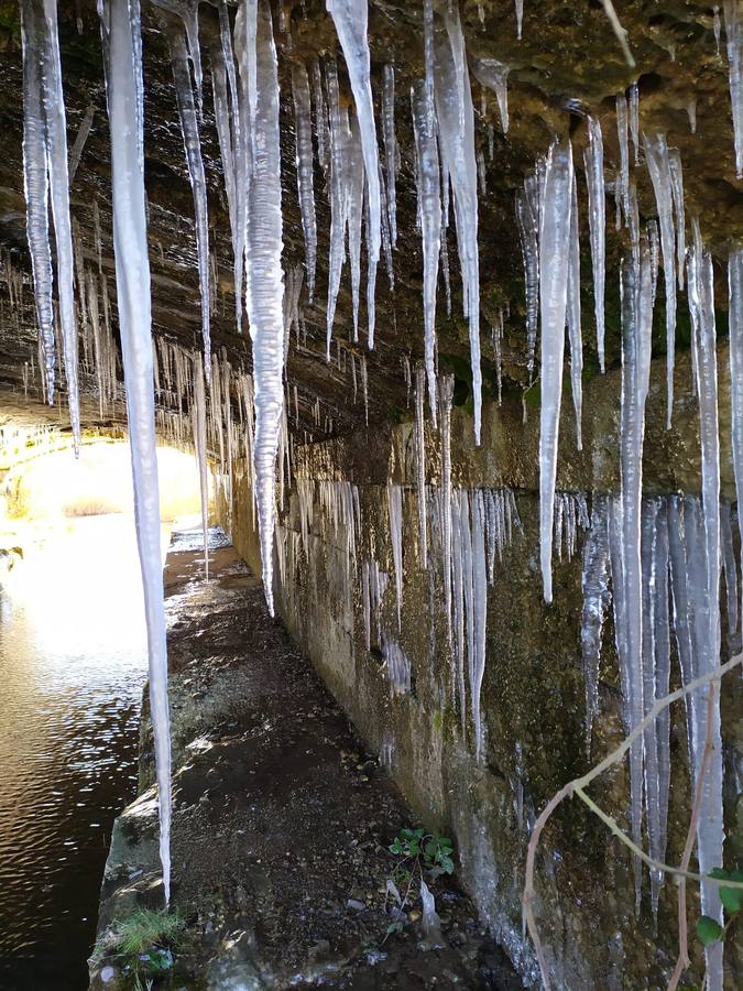 Fotos: El Canal de Castilla amanece helado en Medina de Rioseco