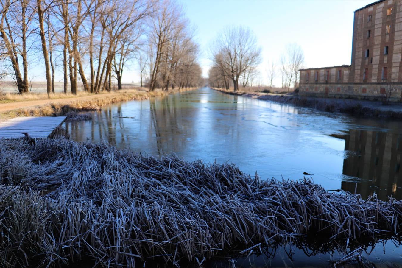 Fotos: El Canal de Castilla amanece helado en Medina de Rioseco