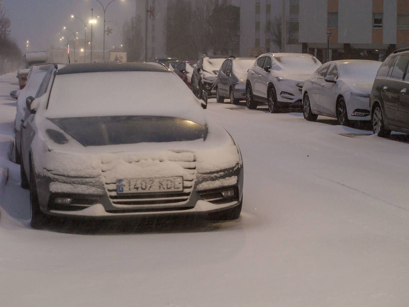 Fotos: Nieve en Laguna de Duero