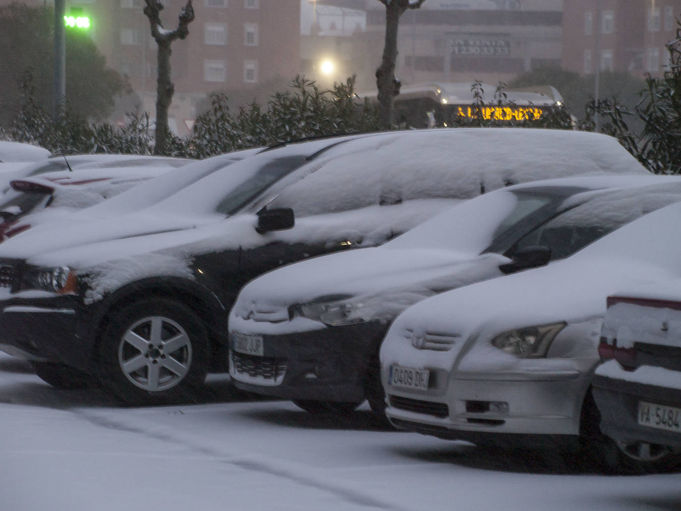 Fotos: Nieve en Laguna de Duero