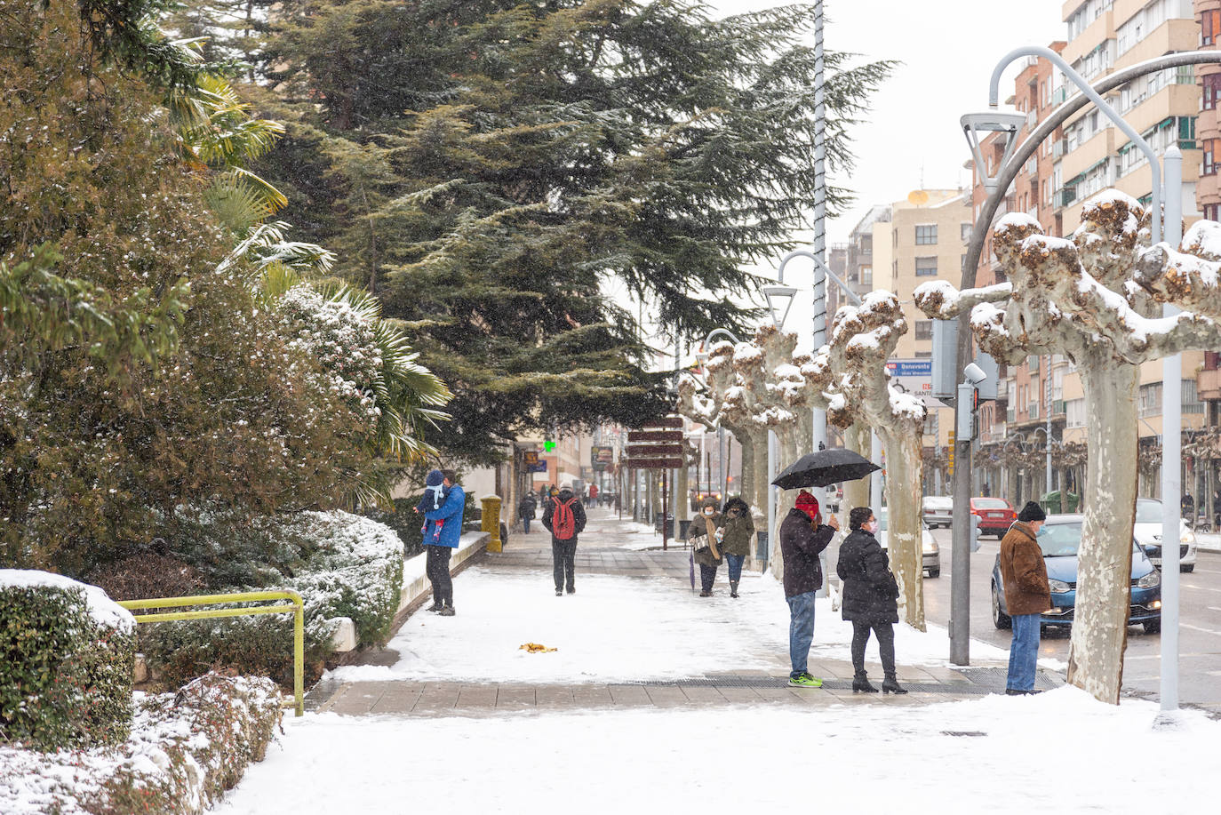 Fotos: La nieve ha dejado una jornada de diversión en Palencia