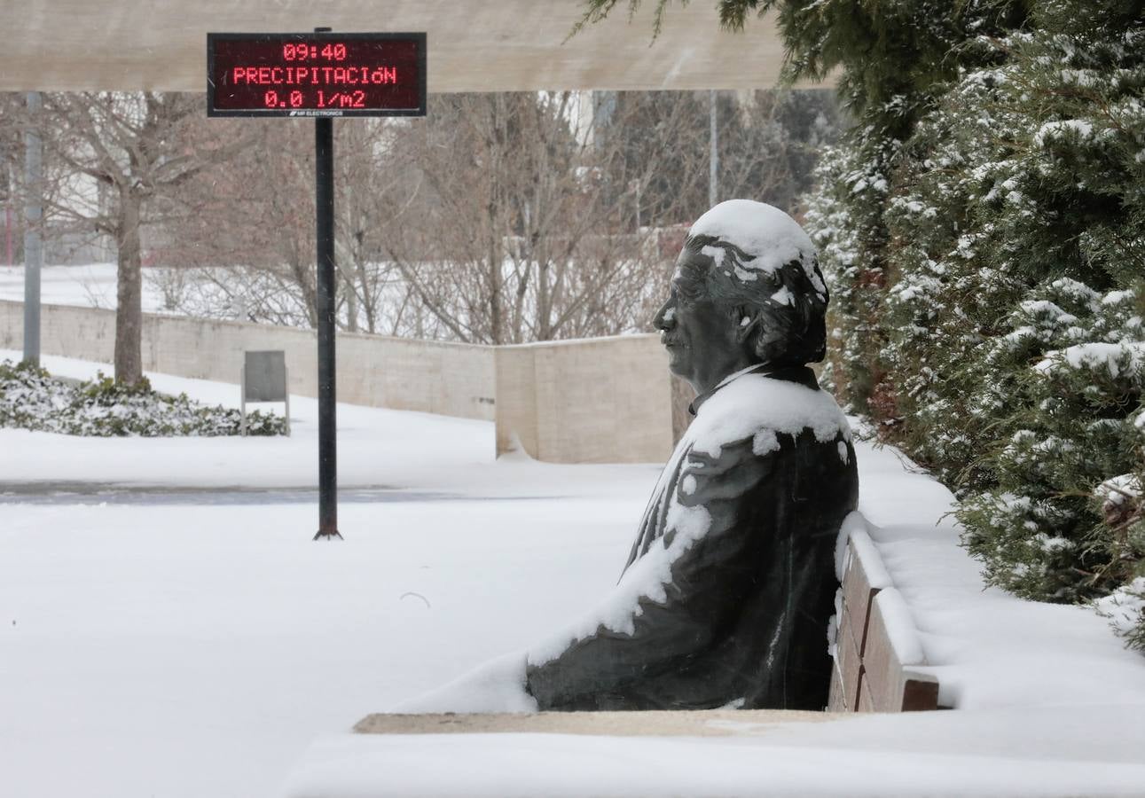 Fotos: Los vallisoletanos disfrutan de un día de nieve en la ciudad