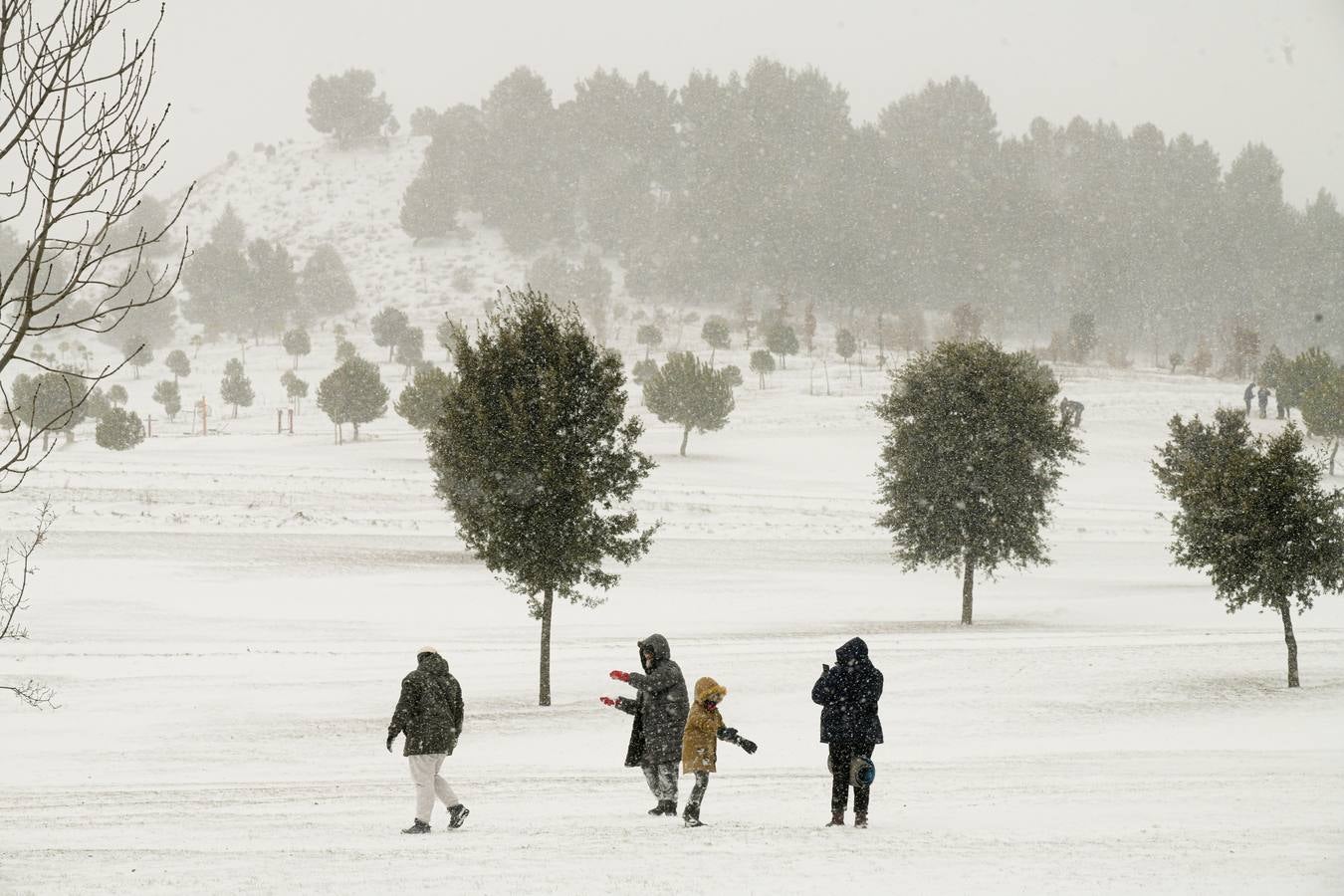 Fotos: Los vallisoletanos disfrutan de un día de nieve en la ciudad