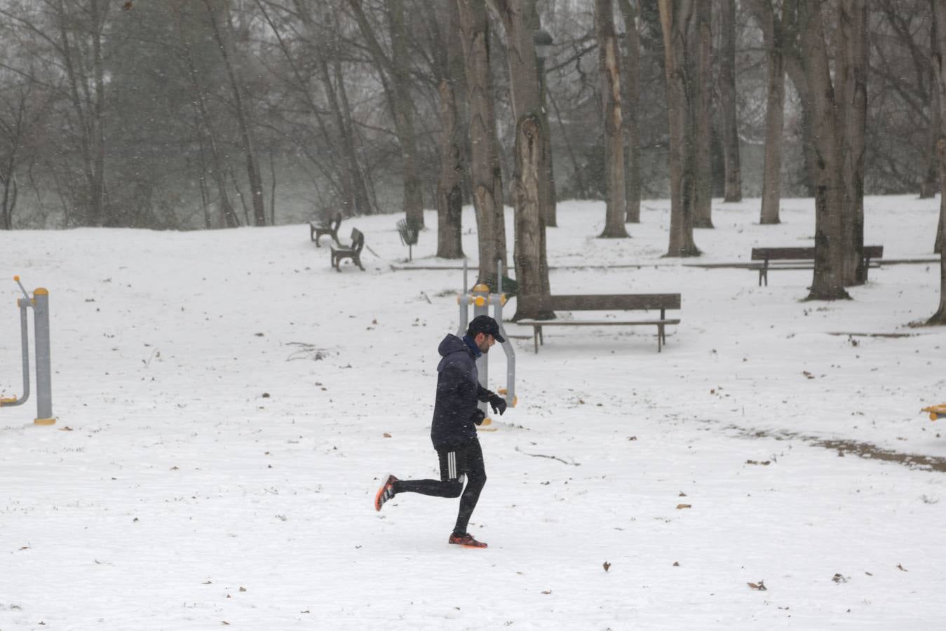 Fotos: Los vallisoletanos disfrutan de un día de nieve en la ciudad