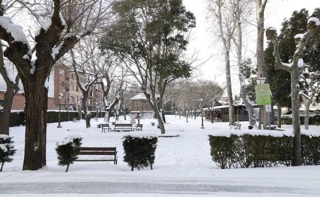 Galería. El hielo y la nieve, protagonistas de la mañana del domingo en Peñafiel. 