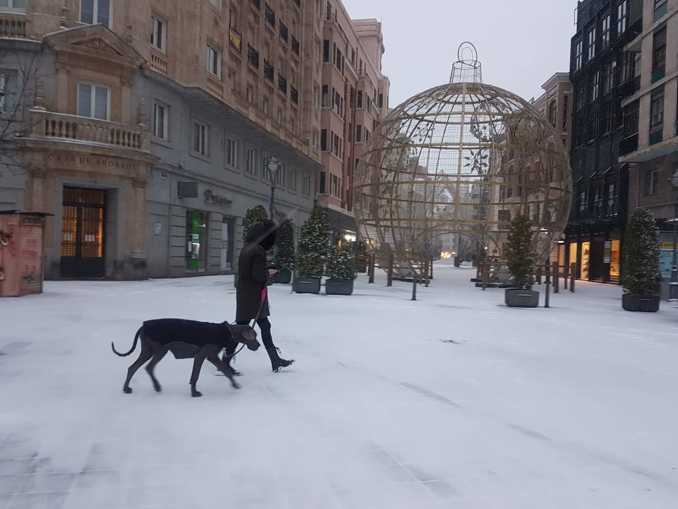 Fotos: Valladolid amanece teñida de blanco