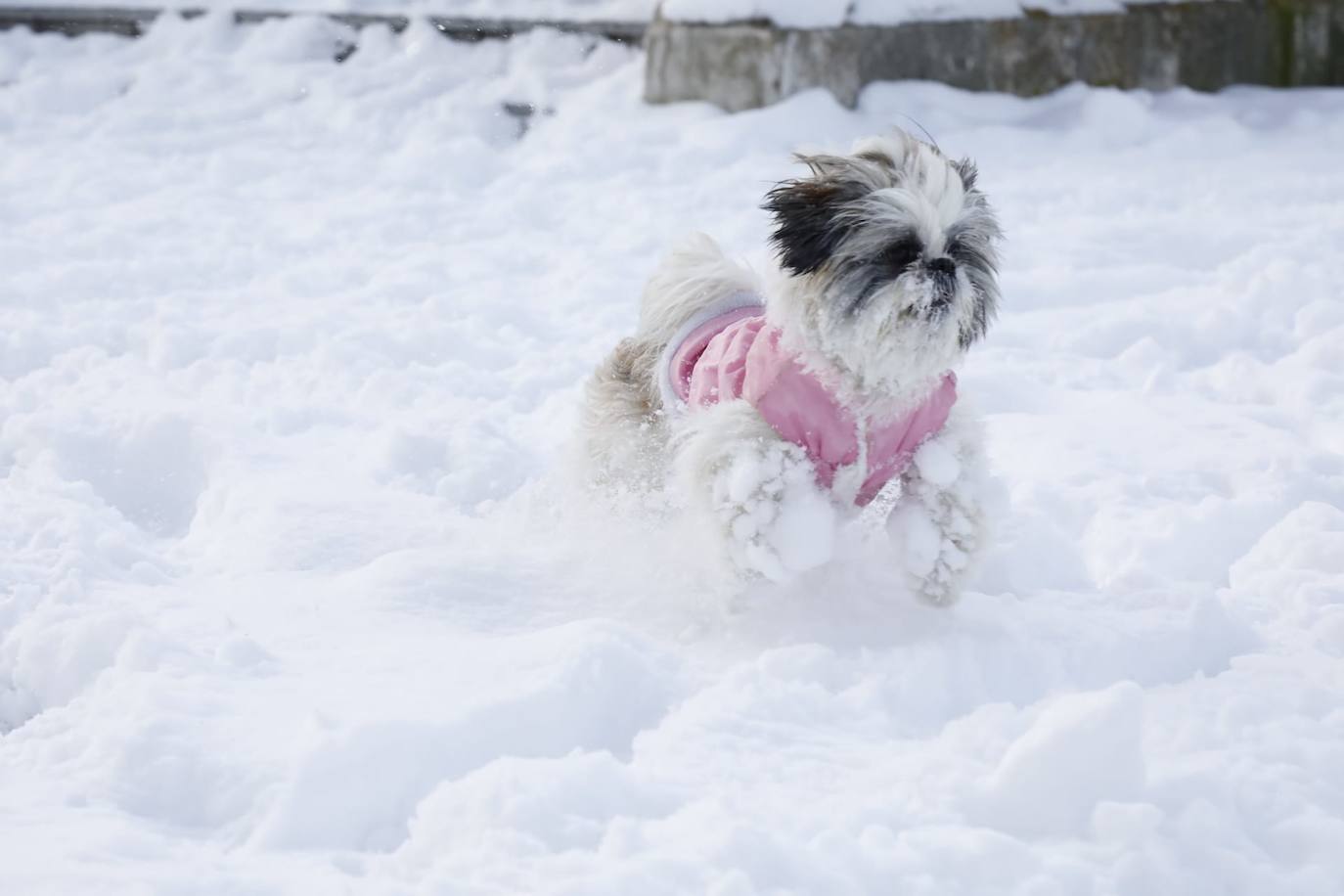 Fotos: Restos de hielo y nieve, protagonistas de la manaña del domingo en Peñafiel