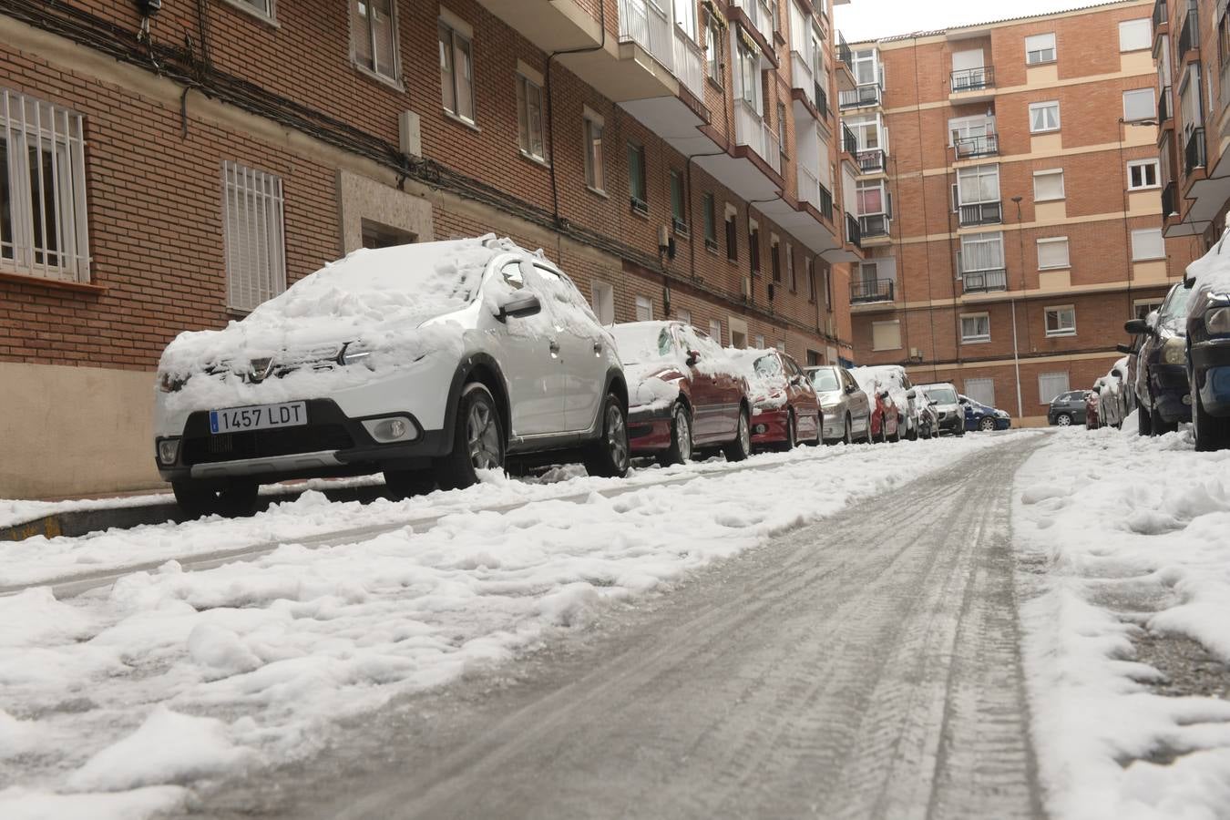 Fotos: El hielo, protagonista de este domingo en Valladolid