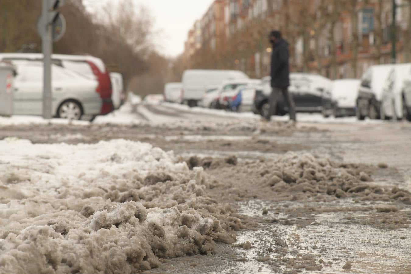 Fotos: El hielo, protagonista de este domingo en Valladolid