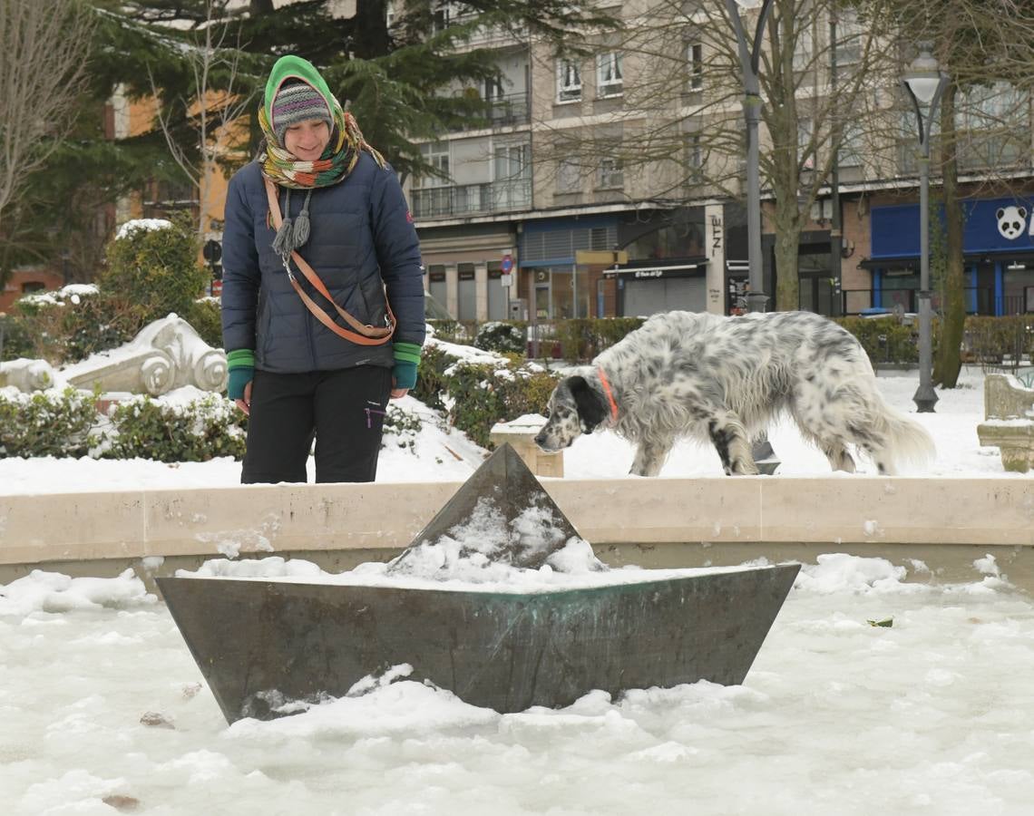 Fotos: El hielo, protagonista de este domingo en Valladolid