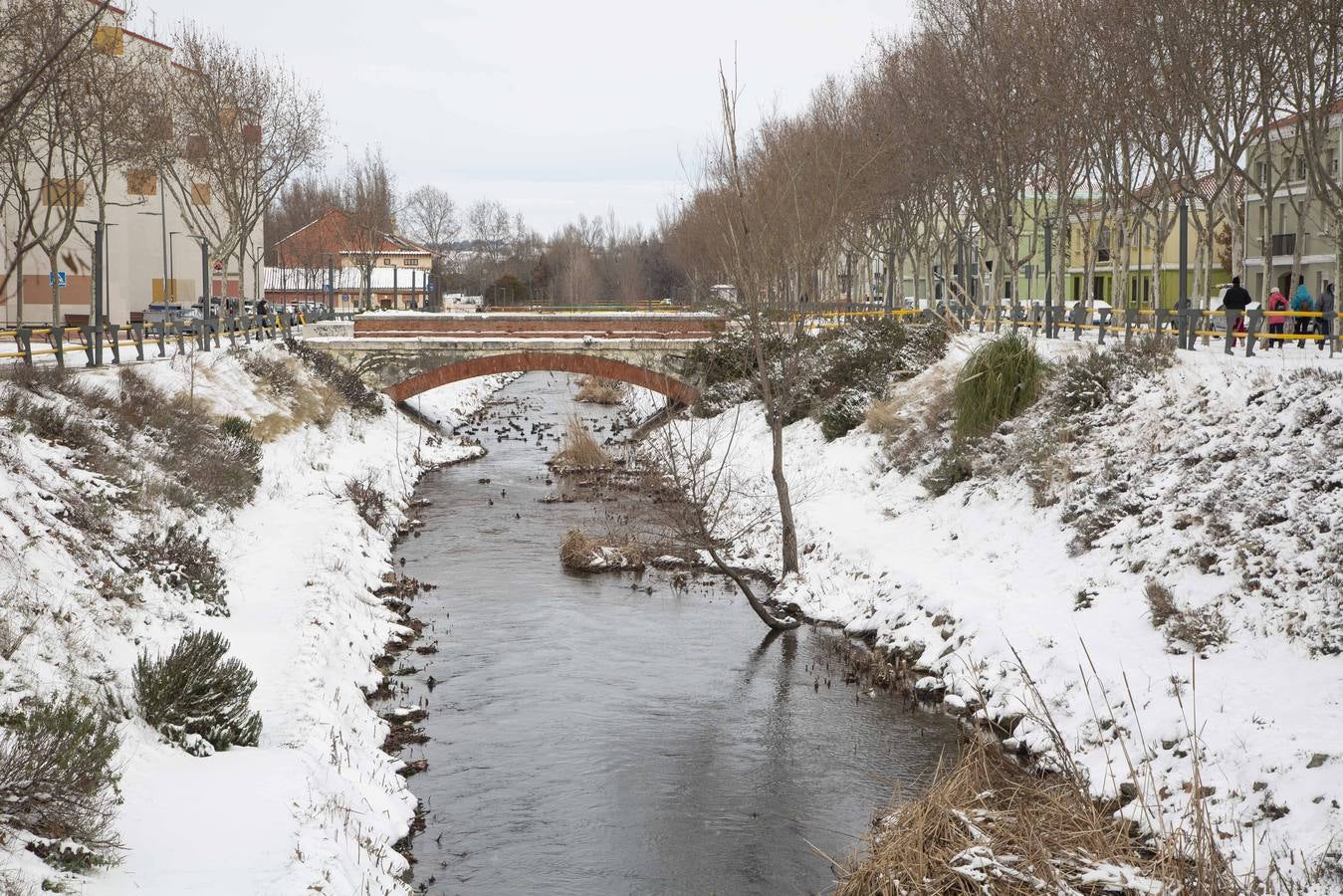 Fotos: El hielo, protagonista de este domingo en Valladolid