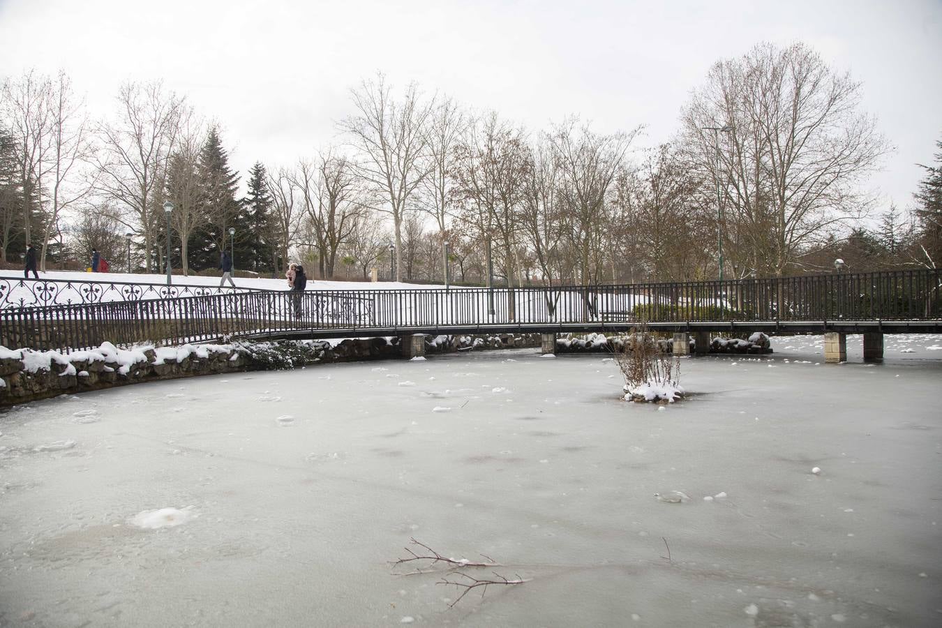 Fotos: El hielo, protagonista de este domingo en Valladolid