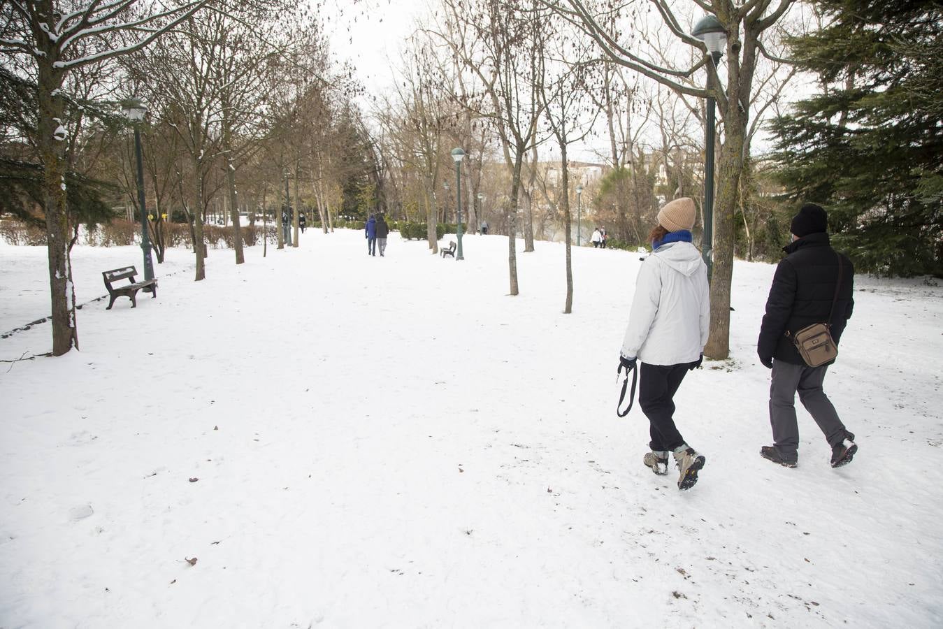 Fotos: El hielo, protagonista de este domingo en Valladolid