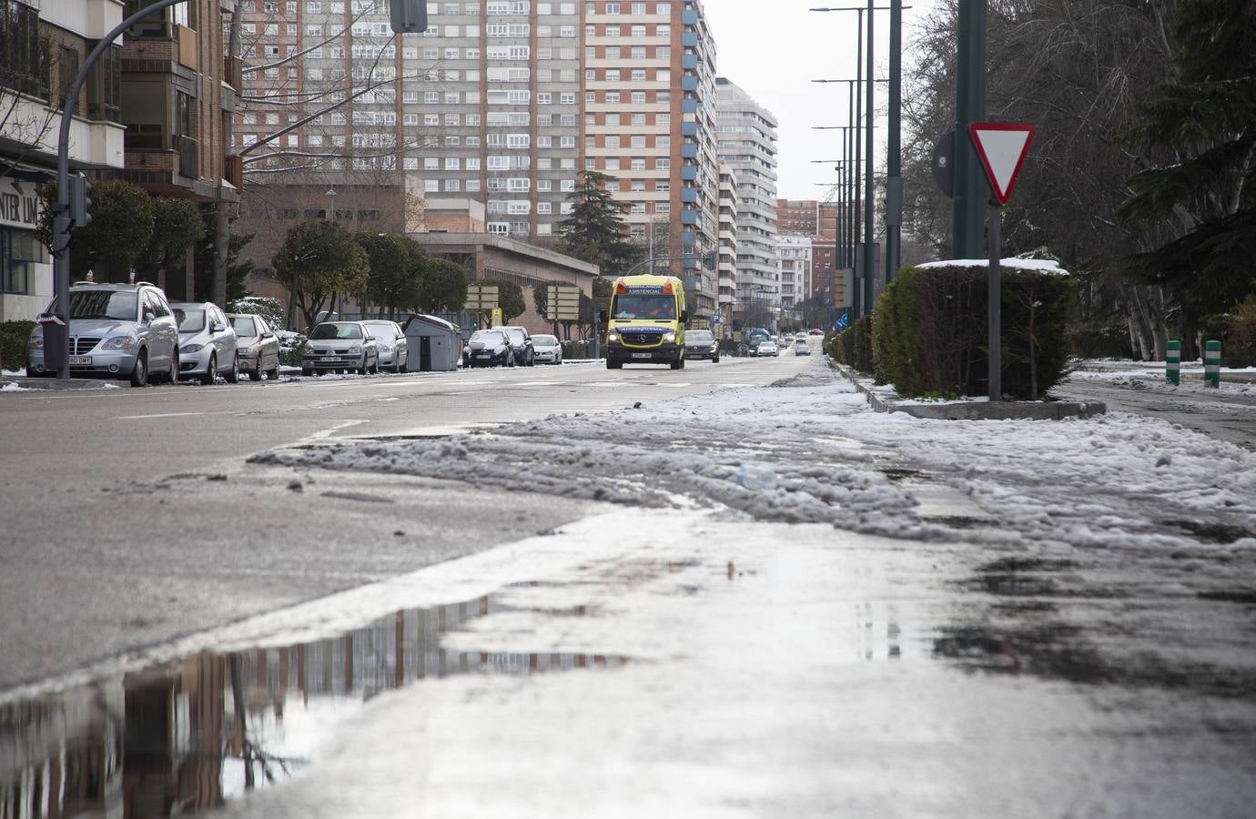 Fotos: El hielo, protagonista de este domingo en Valladolid