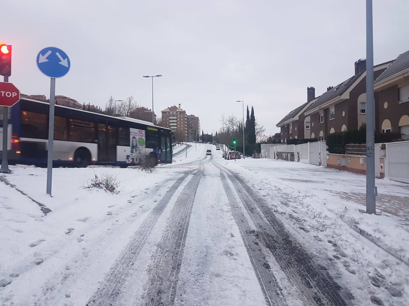 Fotos: El hielo, protagonista de este domingo en Valladolid