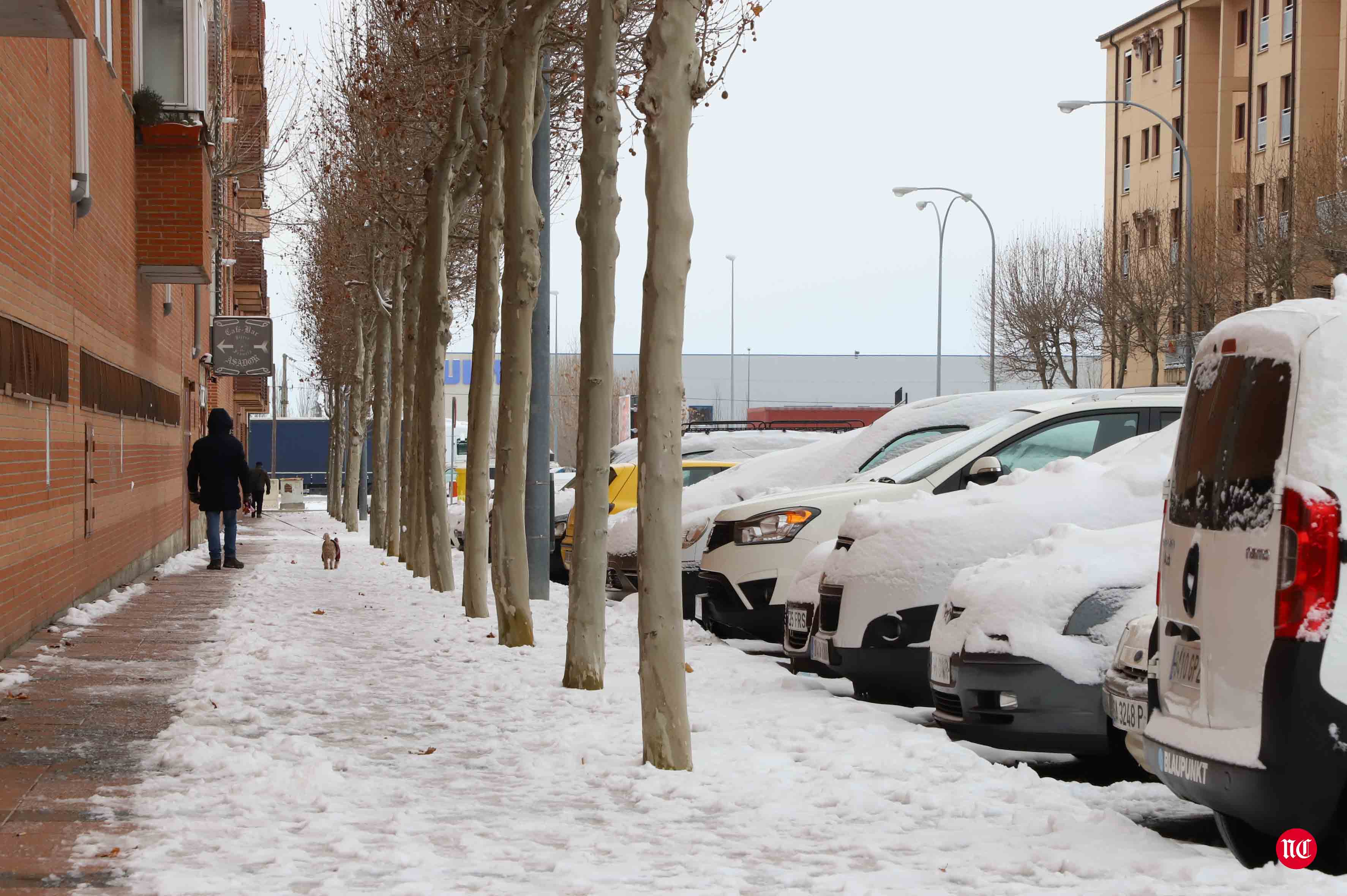 Fotos: Salamanca intenta recuperarse de Filomena con el frío y el hielo como protagonistas