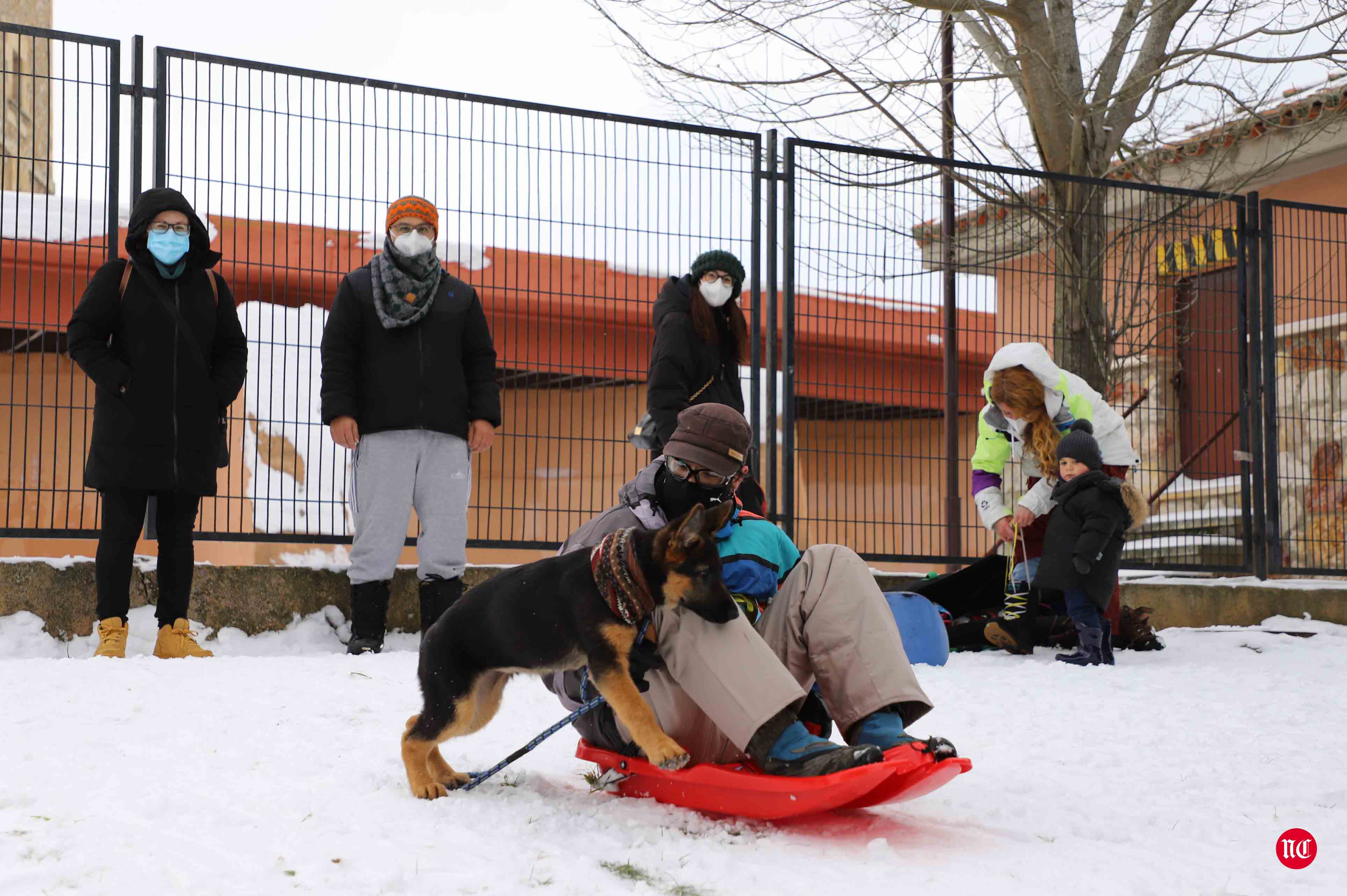 Fotos: Salamanca intenta recuperarse de Filomena con el frío y el hielo como protagonistas