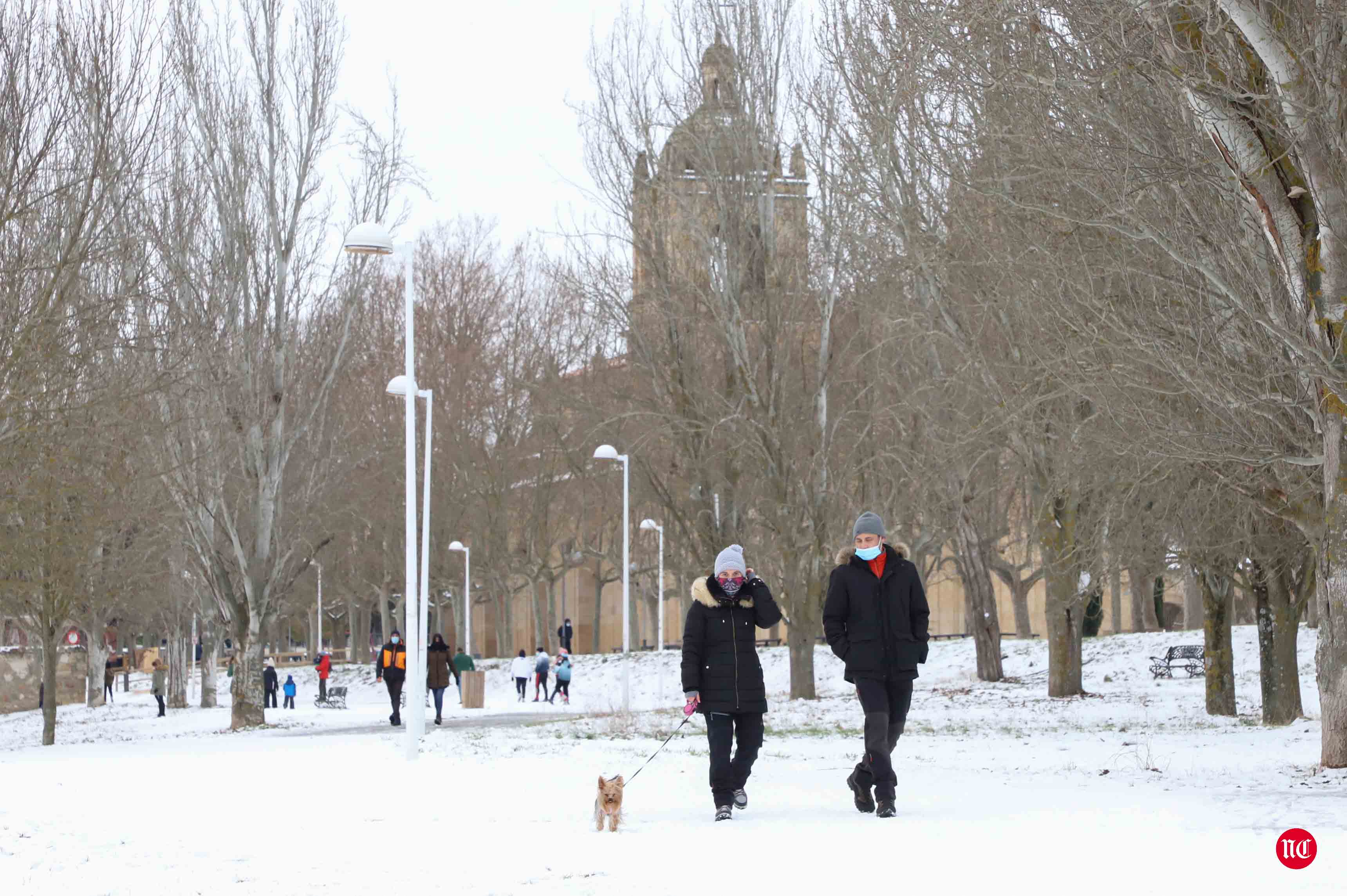 Fotos: Salamanca intenta recuperarse de Filomena con el frío y el hielo como protagonistas