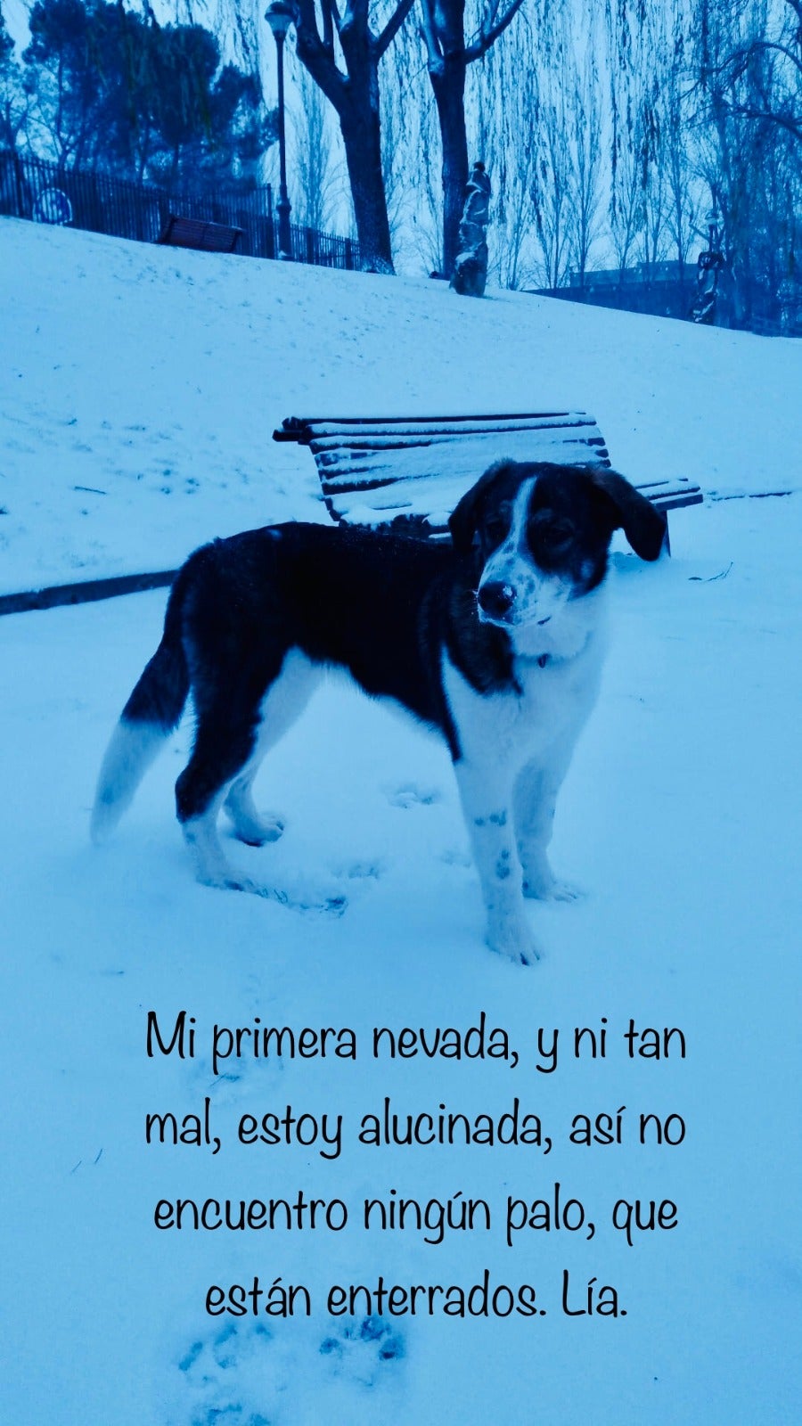 Lia en Parque Patricia.
