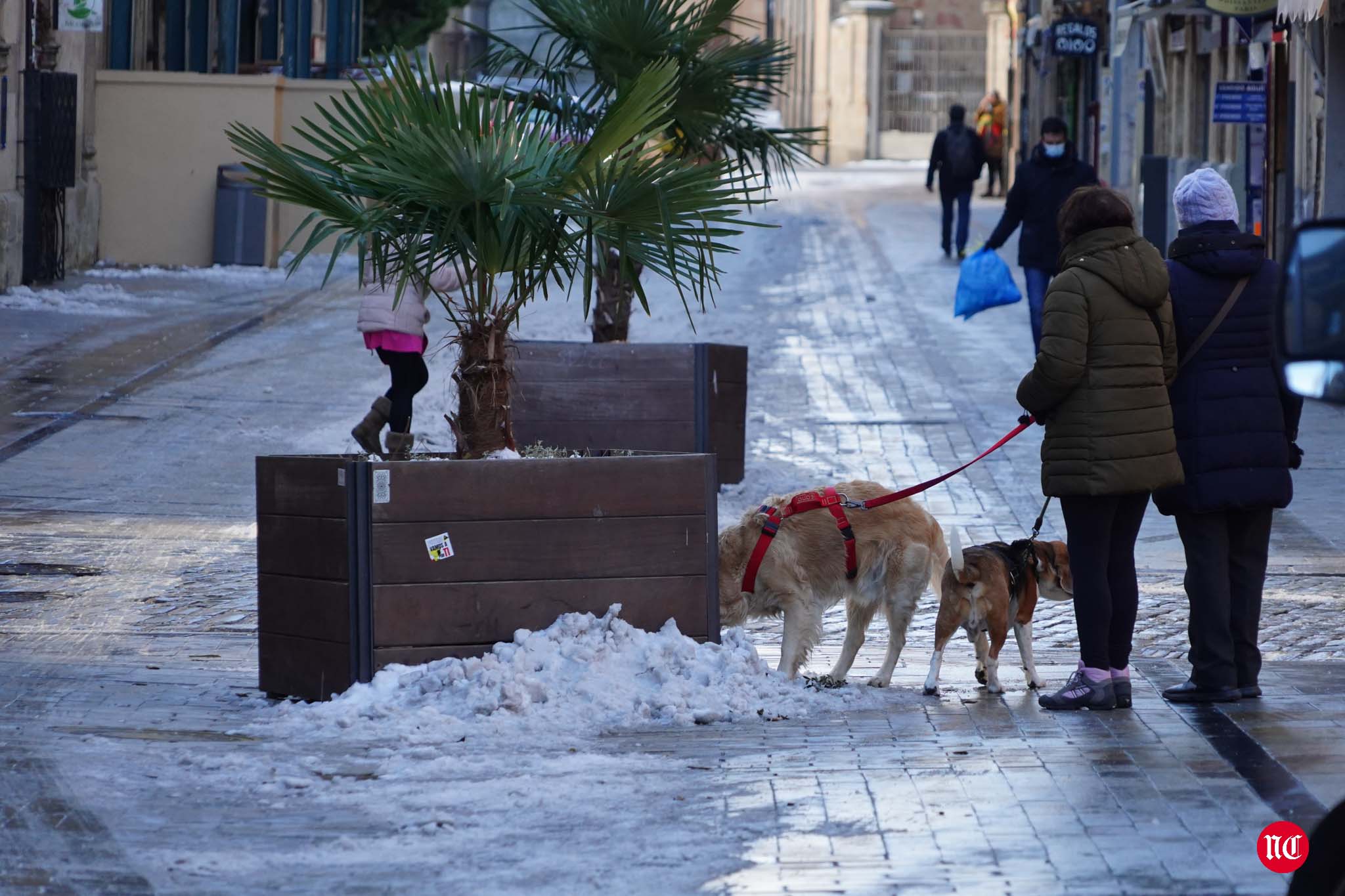 Fotos: Salamanca se intenta recuperar de Filomena