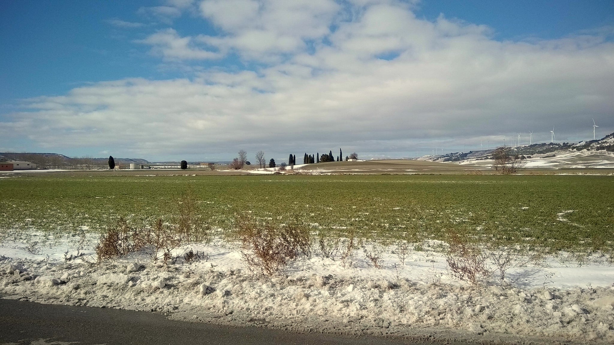 Fotos: Remite el temporal de nieve en el Cerrato